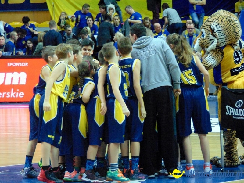 Asseco Gdynia vs Trefl Sopot