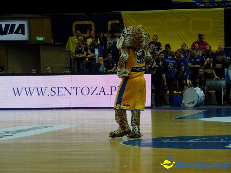 Asseco Gdynia vs Trefl Sopot