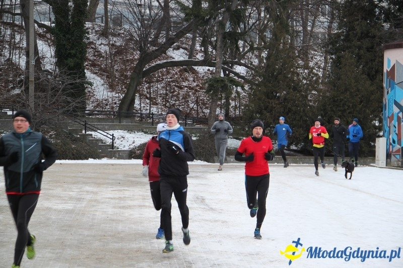 Parkrun Gdynia 210