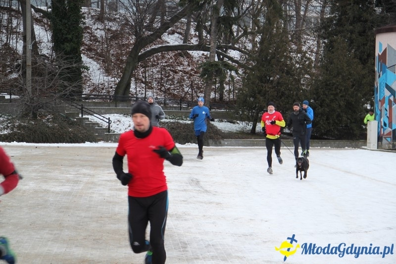 Parkrun Gdynia 210