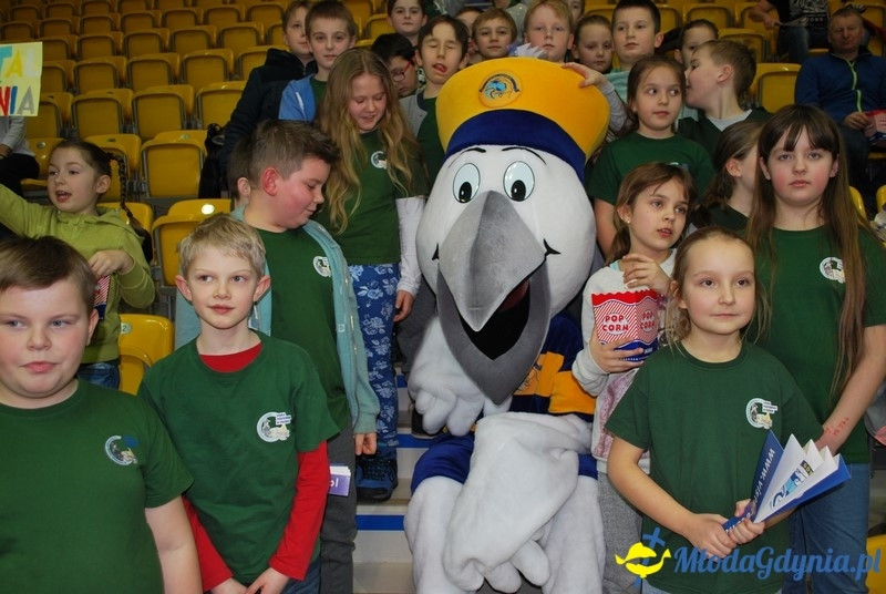 Vistal - Kościerzyna (II) 34:22