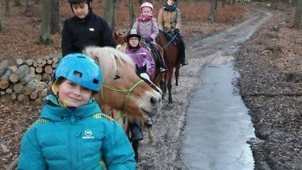 Styczeń 2016 w Kolibkach