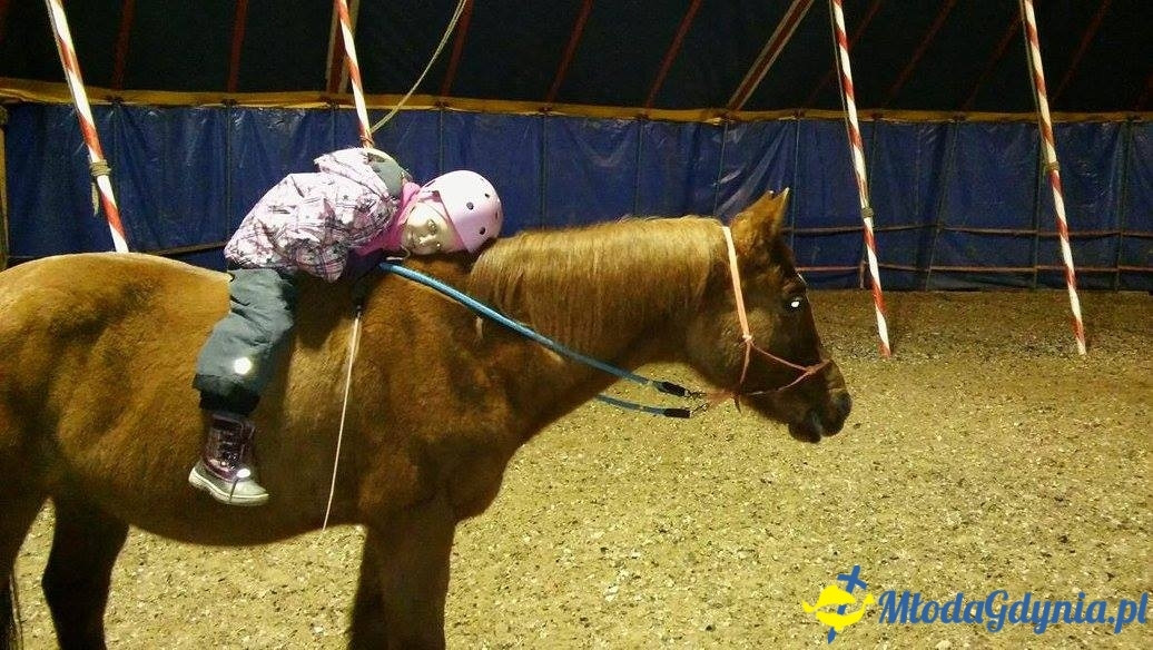 Styczeń 2016 w Kolibkach