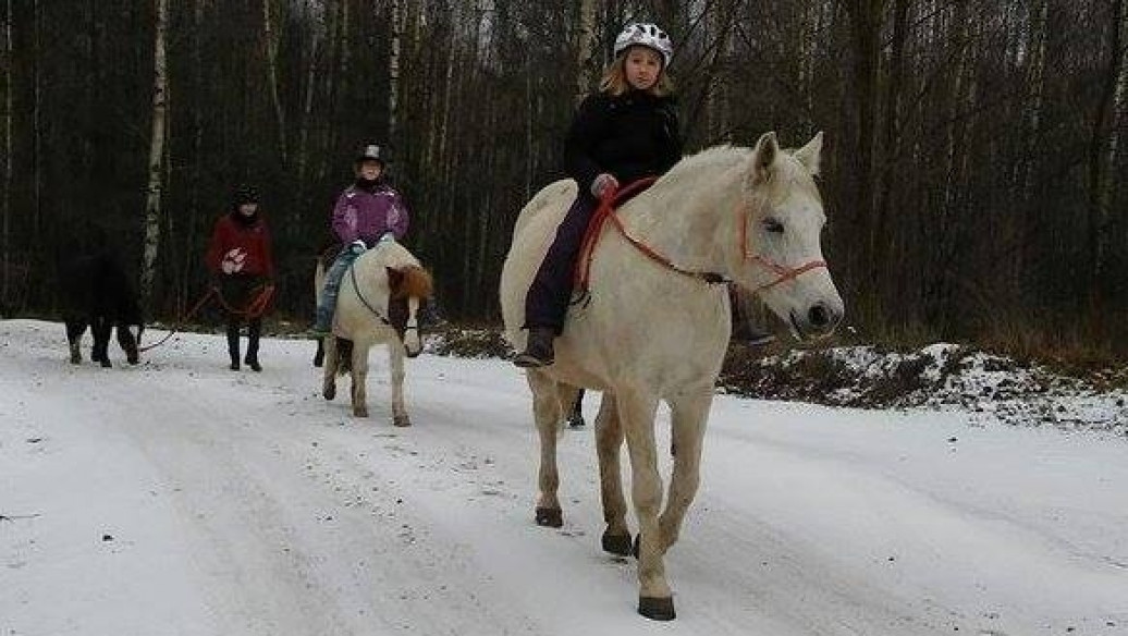 Styczeń 2016 w Kolibkach