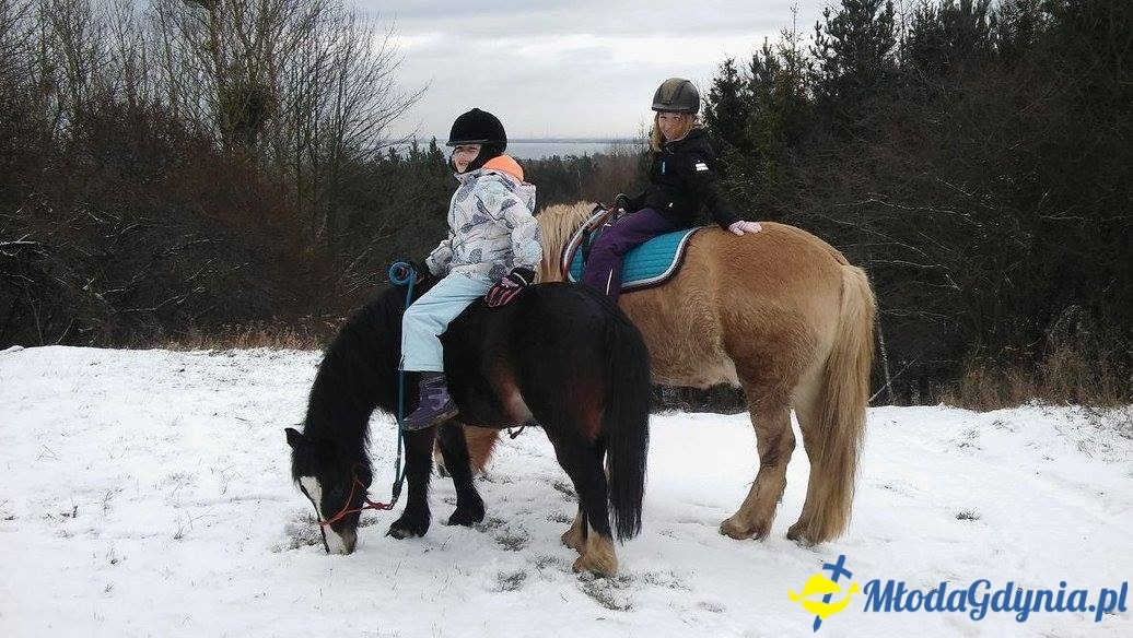 Styczeń 2016 w Kolibkach