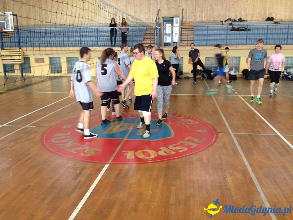 Amatorska Liga Siatkarska 2015/16