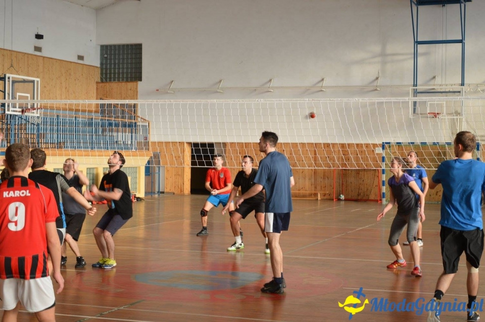 Amatorska Liga Siatkarska 2015/16