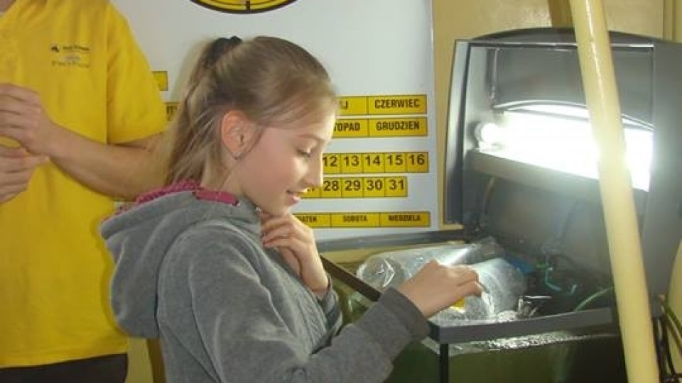 AKWARIUM w Szkole Podstawowej w Pogórzu