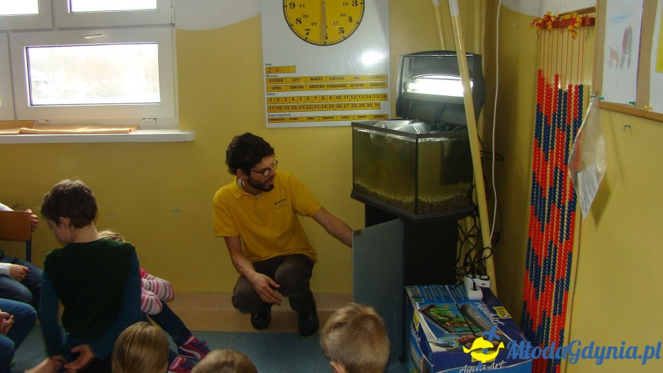 AKWARIUM w Szkole Podstawowej w Pogórzu