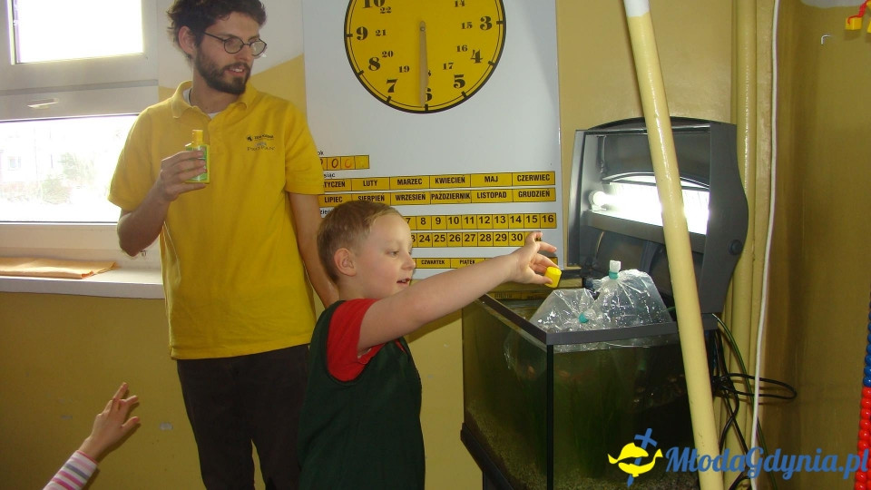 AKWARIUM w Szkole Podstawowej w Pogórzu