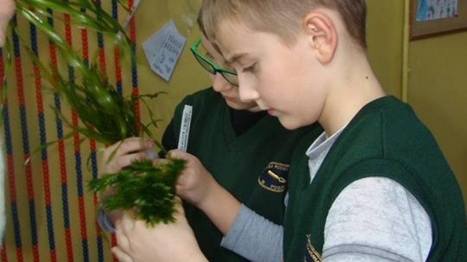 AKWARIUM w Szkole Podstawowej w Pogórzu