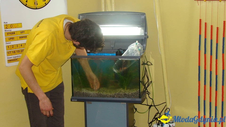 AKWARIUM w Szkole Podstawowej w Pogórzu
