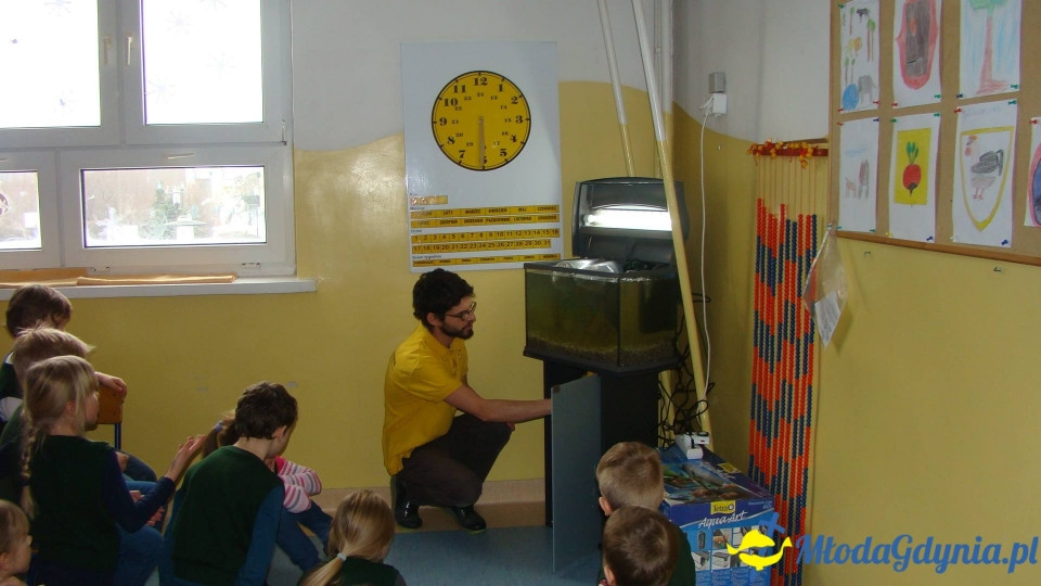 AKWARIUM w Szkole Podstawowej w Pogórzu