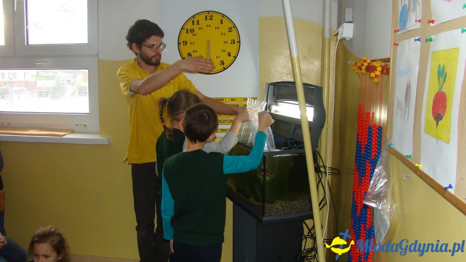 AKWARIUM w Szkole Podstawowej w Pogórzu
