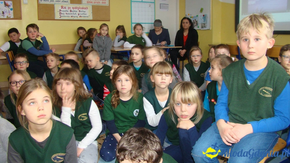 AKWARIUM w Szkole Podstawowej w Pogórzu