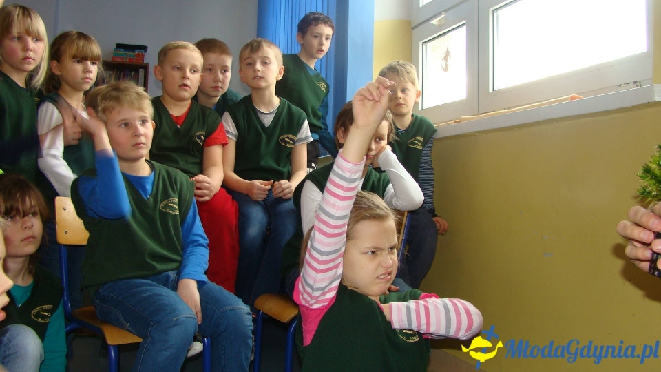 AKWARIUM w Szkole Podstawowej w Pogórzu