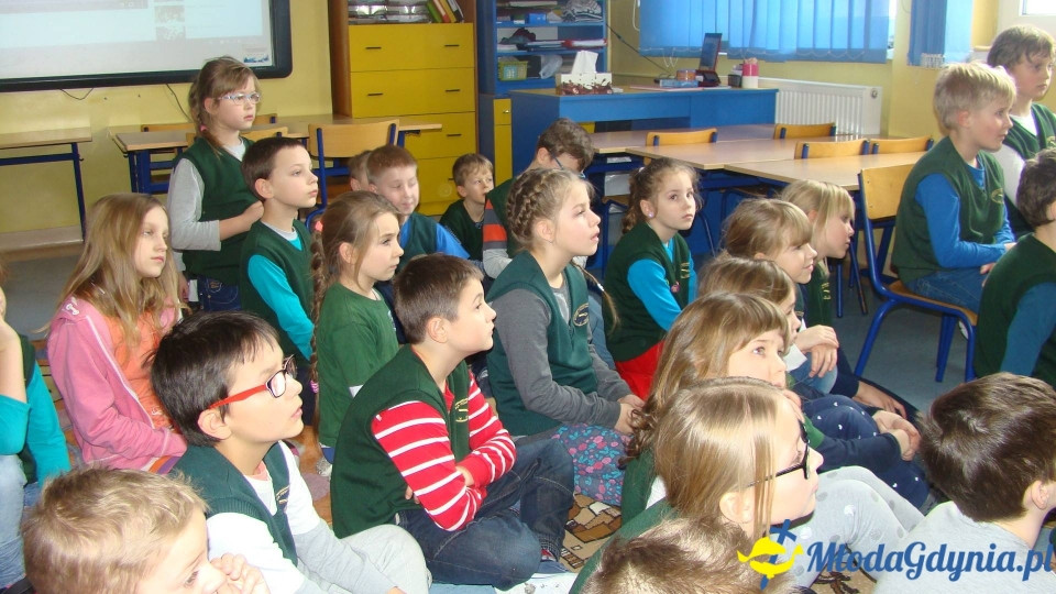 AKWARIUM w Szkole Podstawowej w Pogórzu