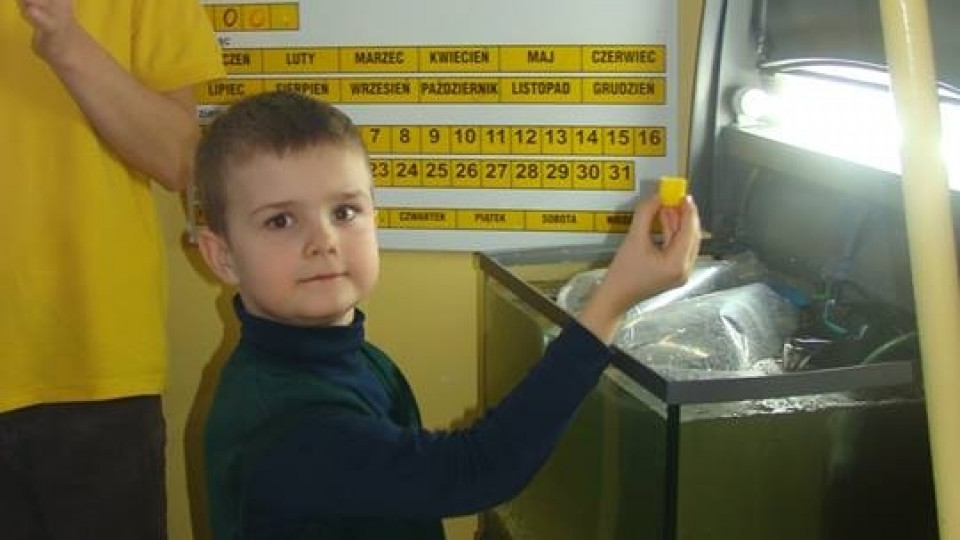 AKWARIUM w Szkole Podstawowej w Pogórzu