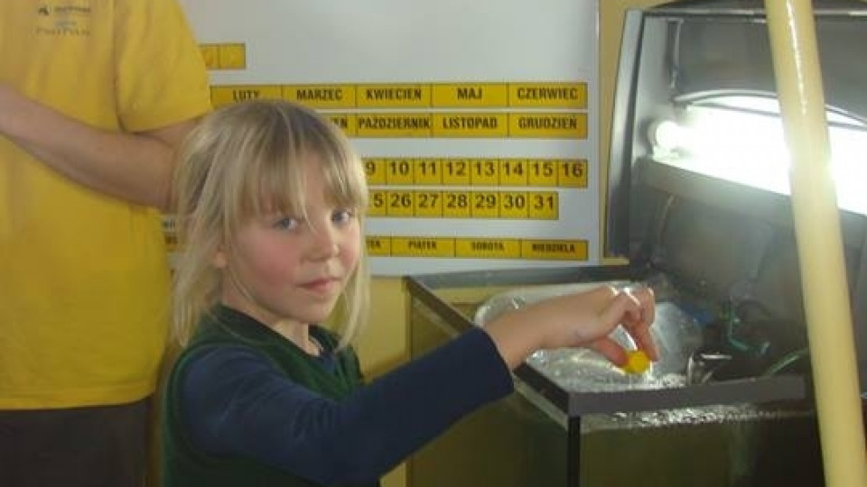 AKWARIUM w Szkole Podstawowej w Pogórzu