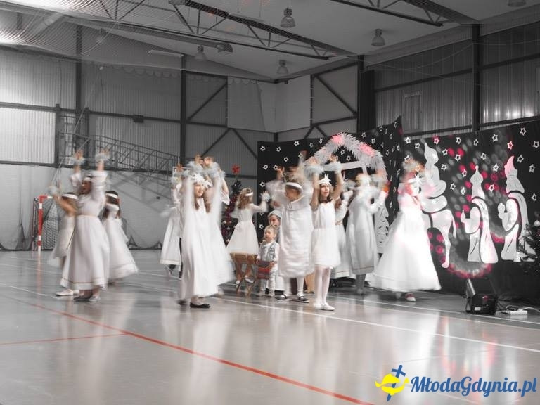 Kosakowo - grudzień  2015 - styczeń 2016