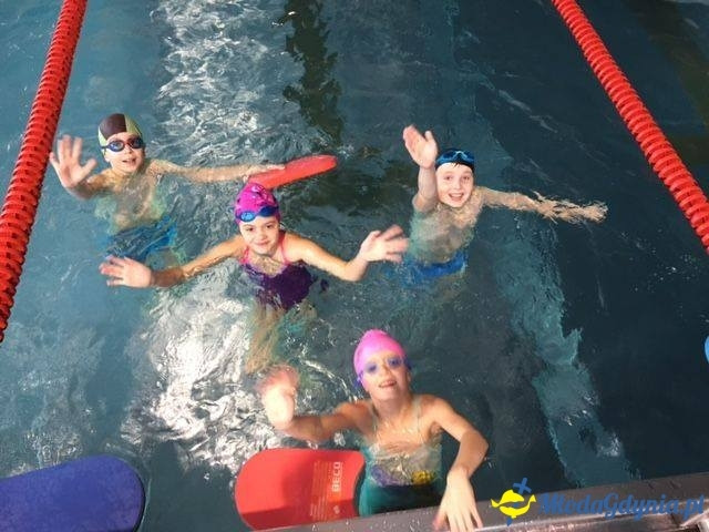 Kosakowo - grudzień  2015 - styczeń 2016