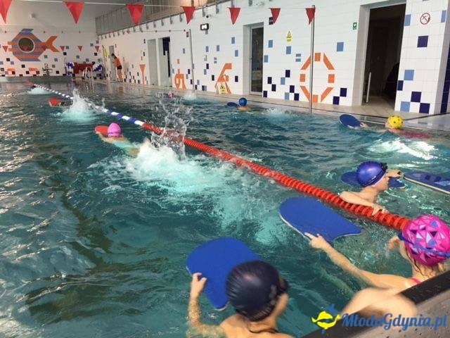 Kosakowo - grudzień  2015 - styczeń 2016