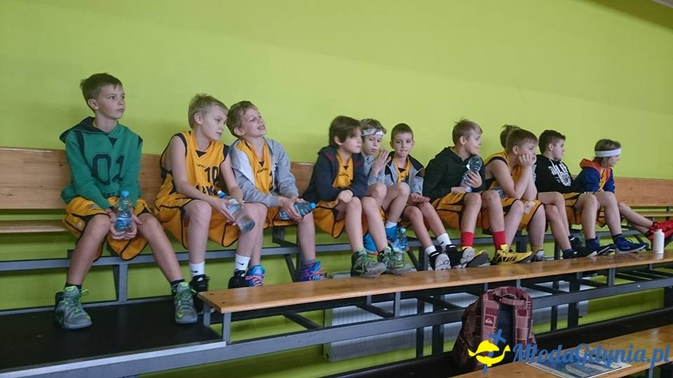 Sharks 2005 wygrywa z Asseco derby Gdyni