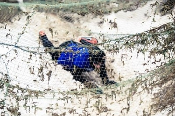 Trening Terenowy EbroGym MudMax Crosselite