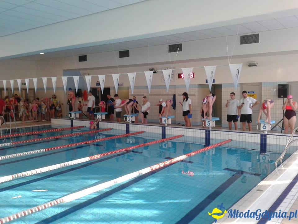 Drużynowe Mistrzostwa Gdyńskich Szkół w Pływaniu 21.01.16.