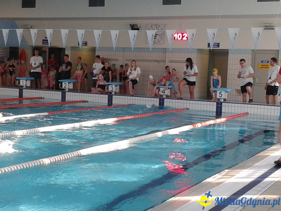 Drużynowe Mistrzostwa Gdyńskich Szkół w Pływaniu 21.01.16.