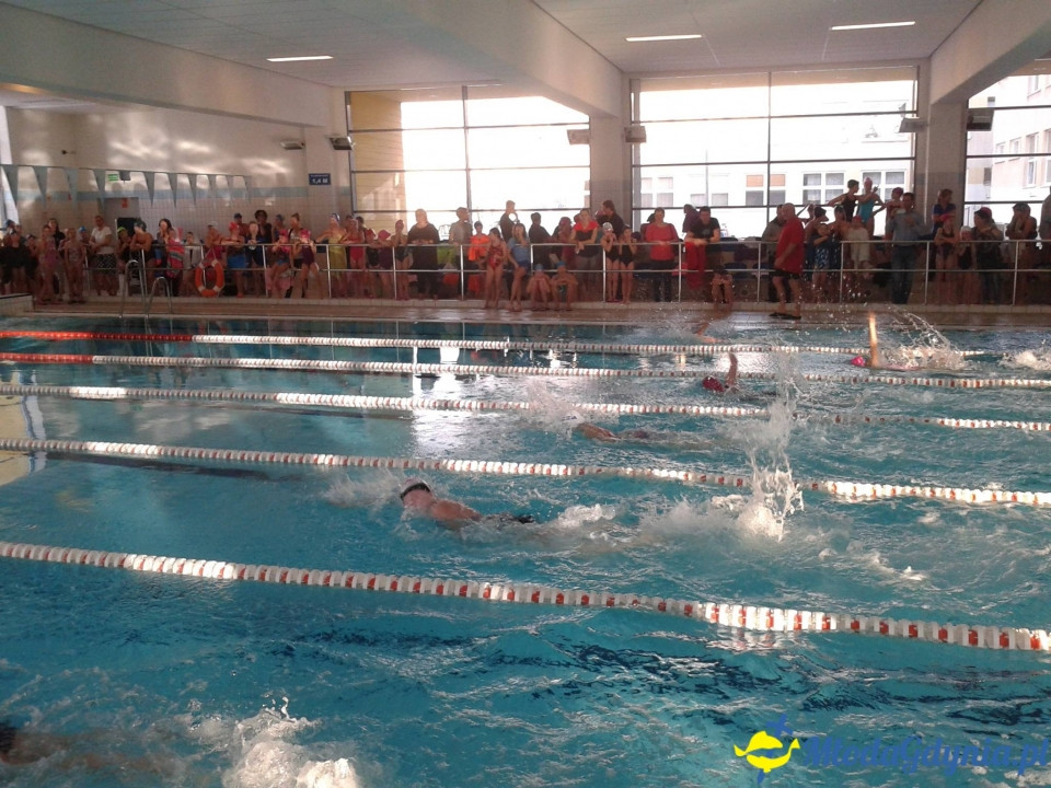 Drużynowe Mistrzostwa Gdyńskich Szkół w Pływaniu 21.01.16.