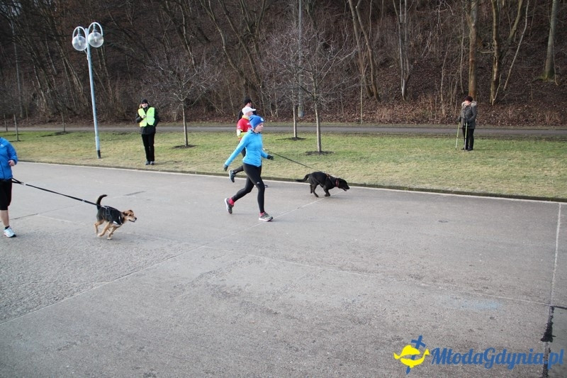 Parkrun 212