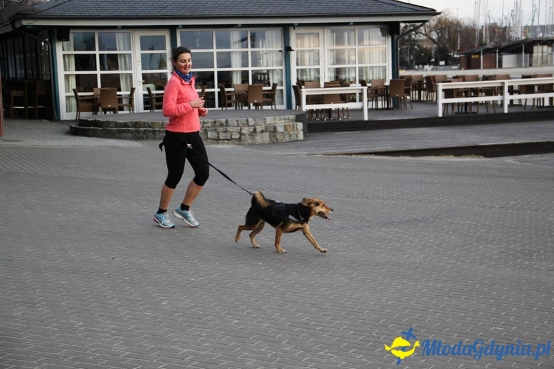 Parkrun 212