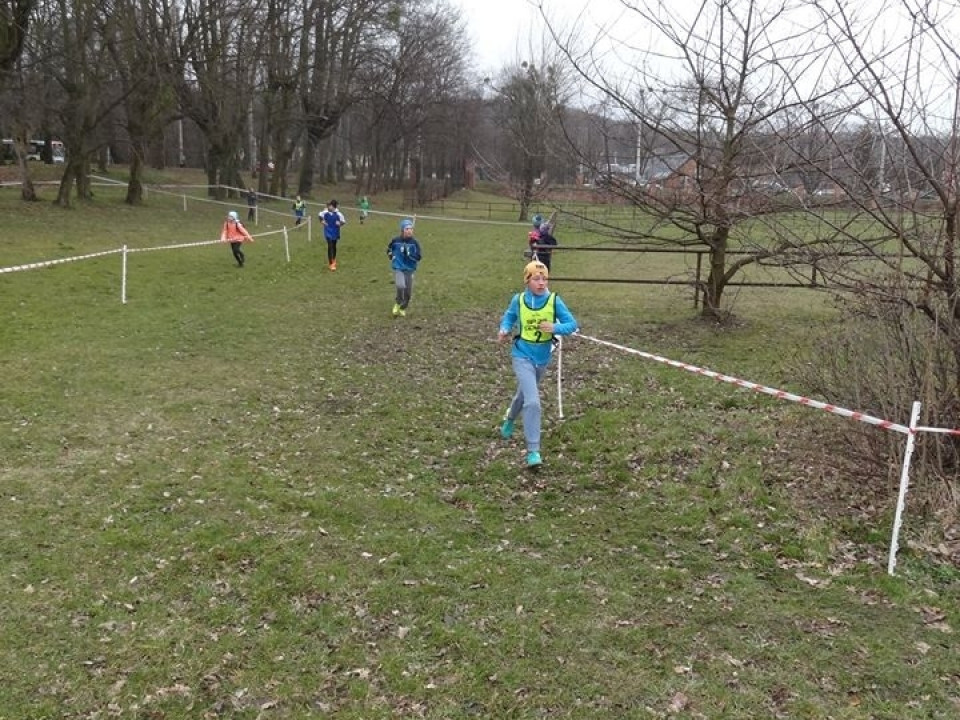 SP 28 - Drużynowe Biegi Przełajowe Szkół Podstawowych 2017
