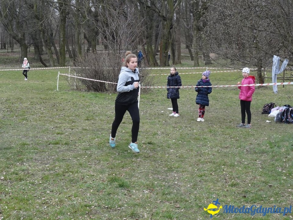SP 28 - Drużynowe Biegi Przełajowe Szkół Podstawowych 2017