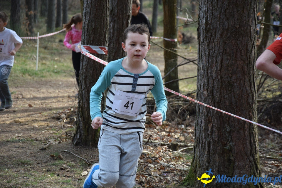 Grand Prix w biegach górskich Gdynia (Edycja II) - Biegi Młodzieżowe