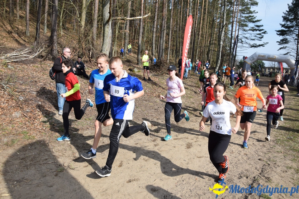 Grand Prix w biegach górskich Gdynia (Edycja II) - Biegi Młodzieżowe