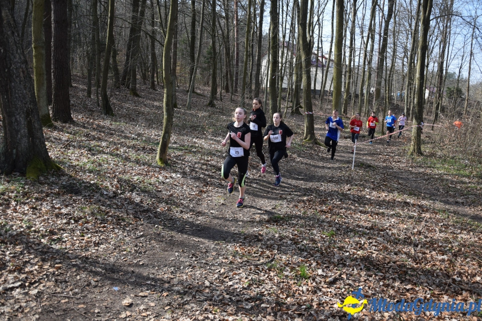 Grand Prix w biegach górskich Gdynia (Edycja II) - Biegi Młodzieżowe