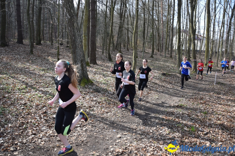 Grand Prix w biegach górskich Gdynia (Edycja II) - Biegi Młodzieżowe