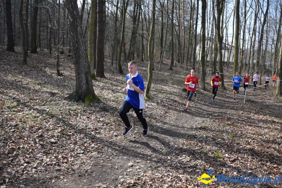 Grand Prix w biegach górskich Gdynia (Edycja II) - Biegi Młodzieżowe