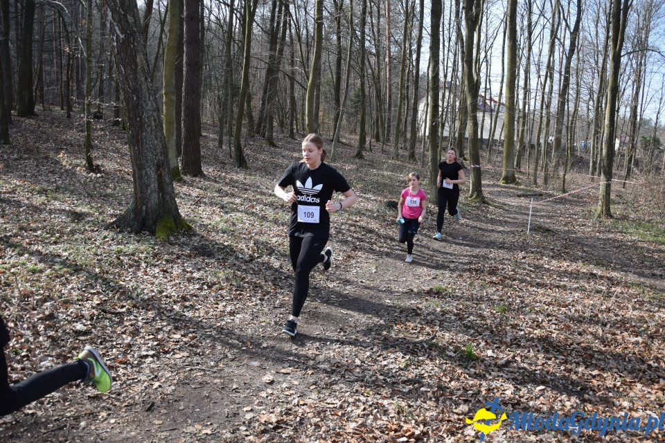 Grand Prix w biegach górskich Gdynia (Edycja II) - Biegi Młodzieżowe