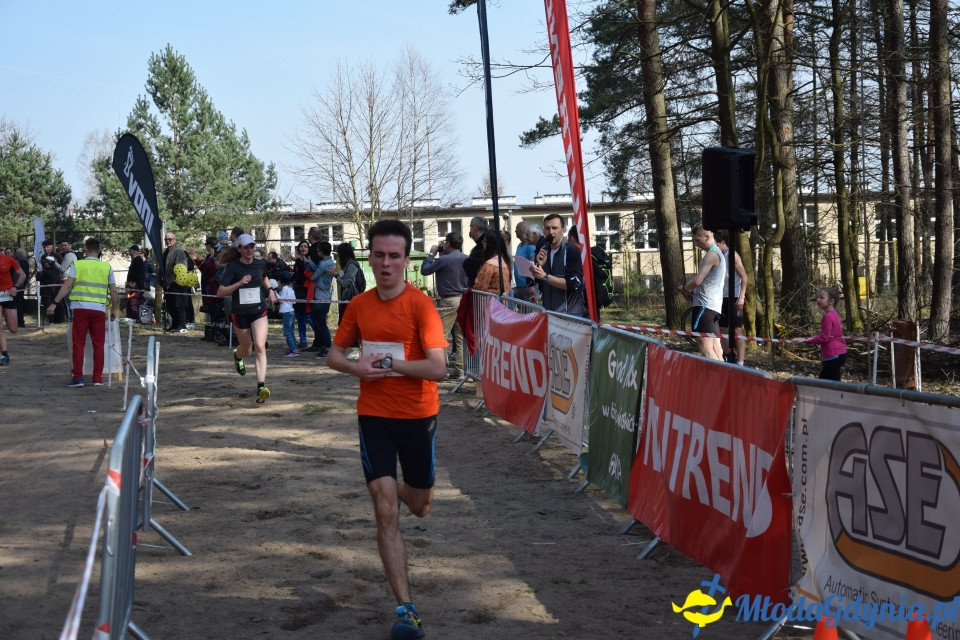 Grand Prix w biegach górskich Gdynia - Bieg Główny