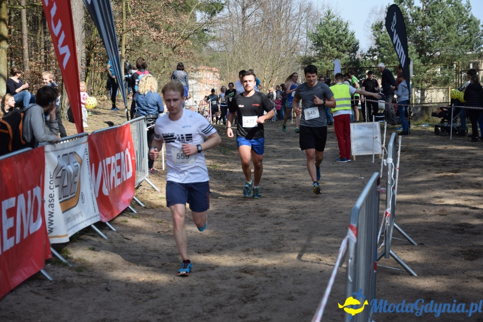 Grand Prix w biegach górskich Gdynia - Bieg Główny
