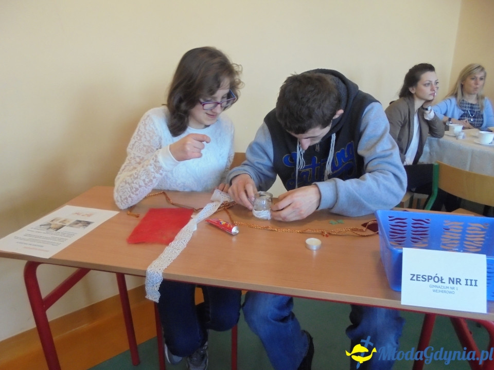 SOSW 2 - Odpowiedzialny i świadomy konsument zasobów przyrody 2017