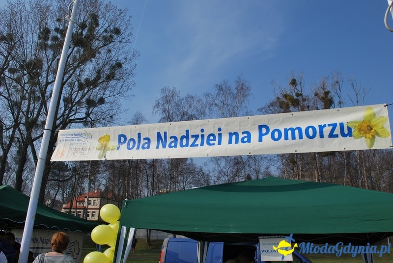 II Bieg Nadziei - Wielka Sztafeta Żonkilowa 02.04.2017