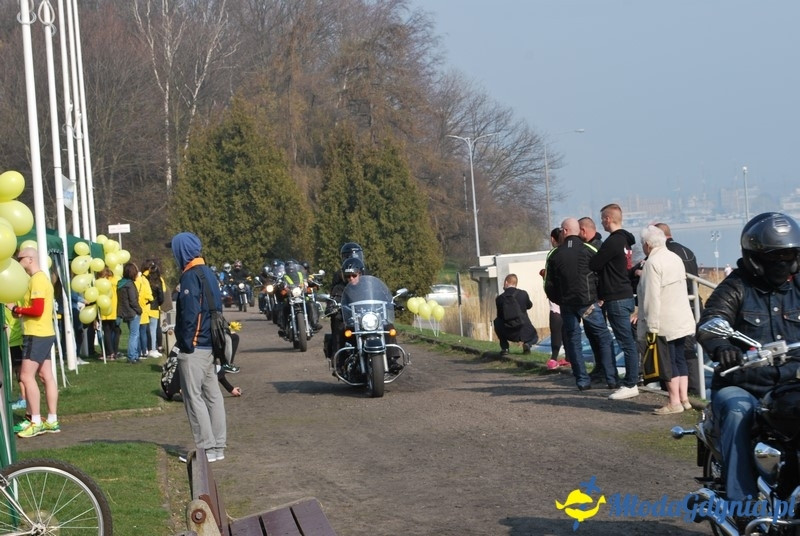 II Bieg Nadziei - Wielka Sztafeta Żonkilowa 02.04.2017