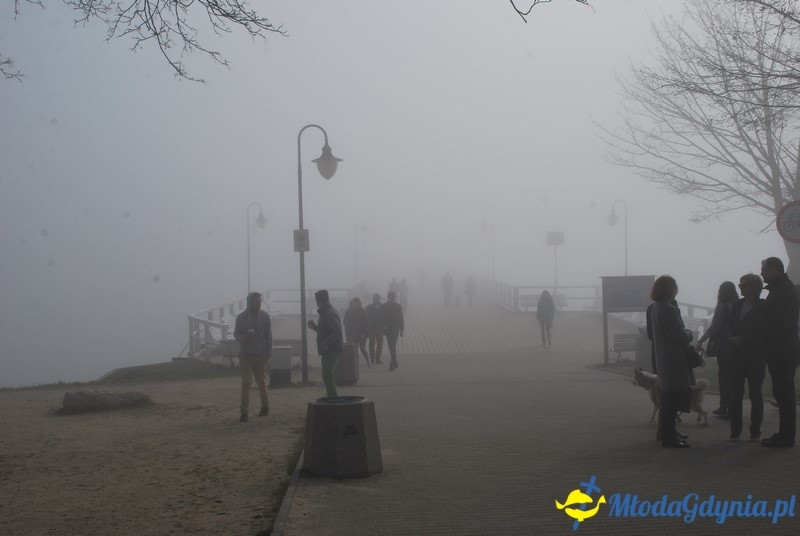 II Bieg Nadziei - Wielka Sztafeta Żonkilowa 02.04.2017