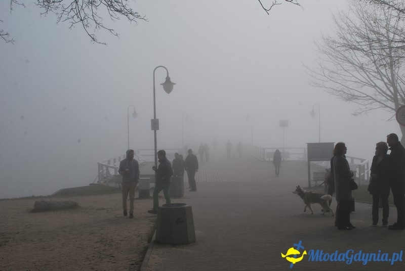 II Bieg Nadziei - Wielka Sztafeta Żonkilowa 02.04.2017