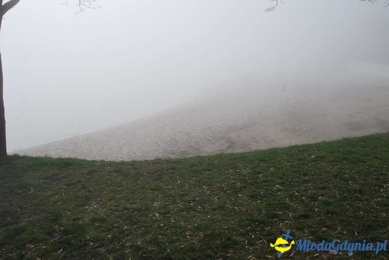 II Bieg Nadziei - Wielka Sztafeta Żonkilowa 02.04.2017