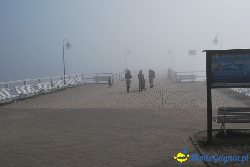 II Bieg Nadziei - Wielka Sztafeta Żonkilowa 02.04.2017